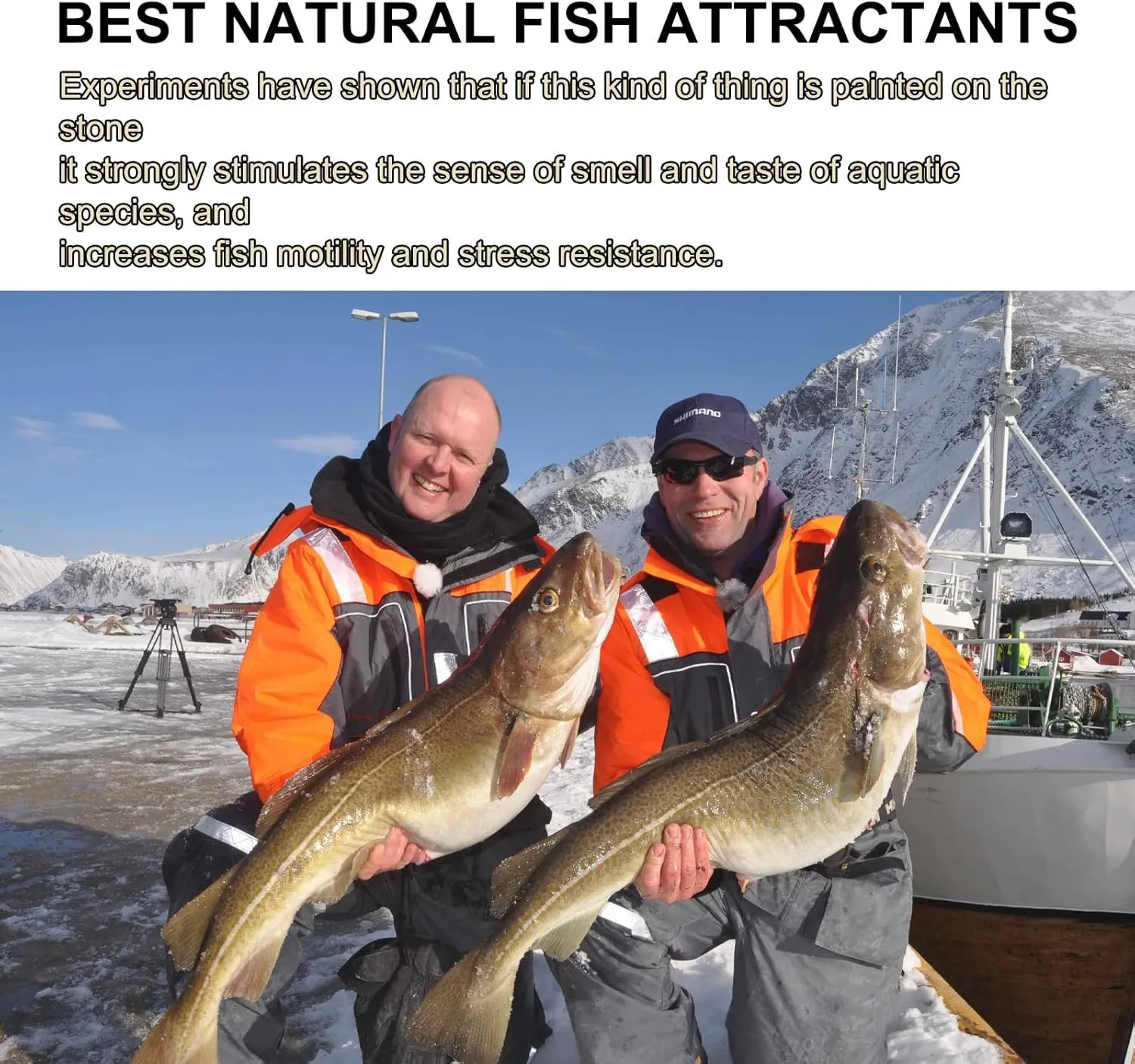 Peces Agua Dulce  Señuelos Peces Líquidos  Nuevo Cebo Natural para Cebos  Alta Concentración de Cebo de Pescado  Atrayentes Pece